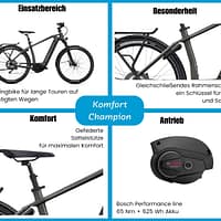 IMG199777_155237_1920x1920 Flyer Gotour6 7.12 XC Herren